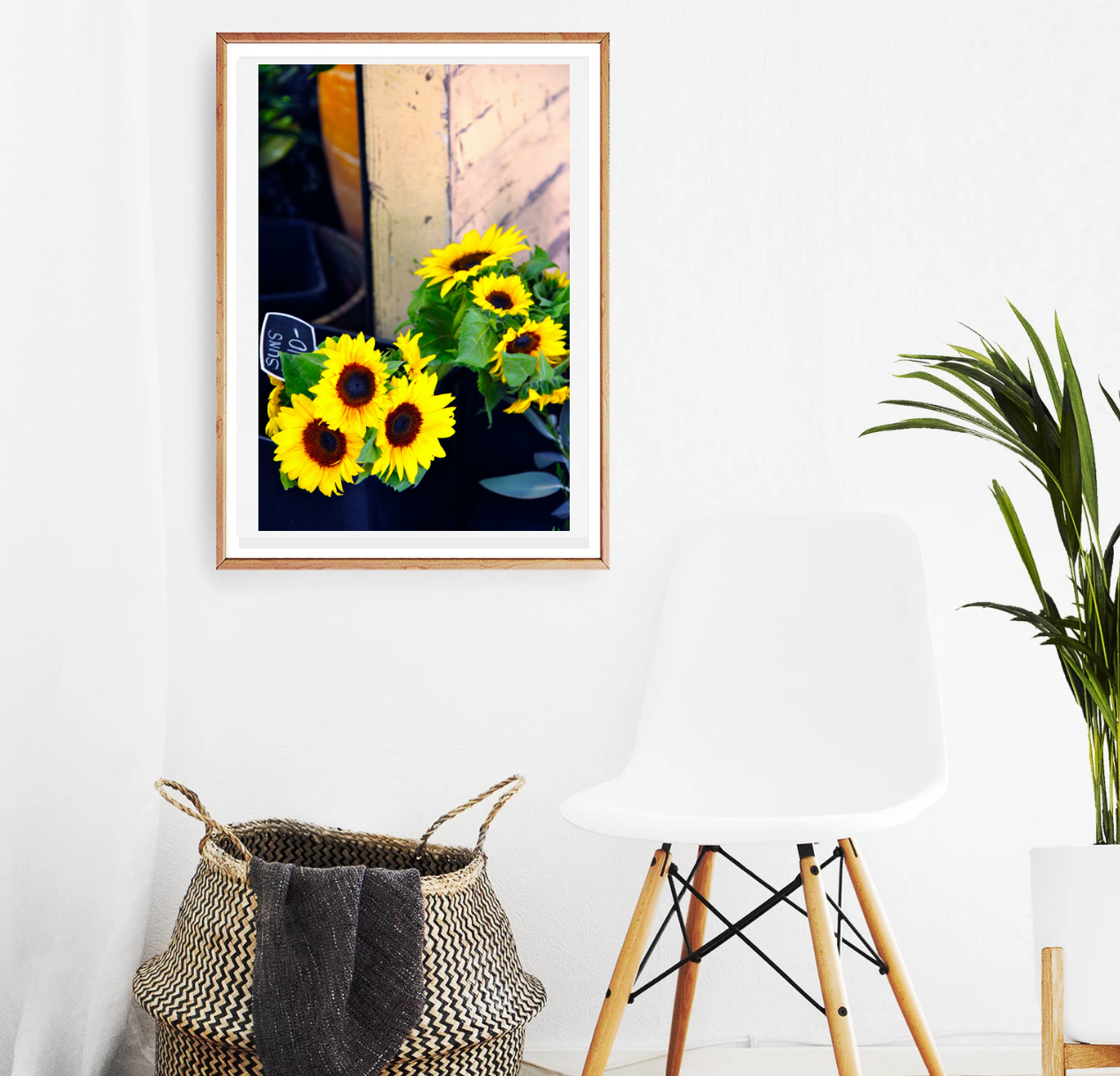 Sunflower Stall • Fine Photography Print