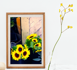 Sunflower Stall • Fine Photography Print