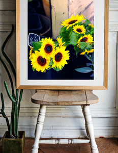 Sunflower Stall • Fine Photography Print