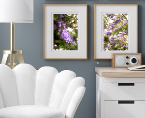 Jacarandas in Sydney • Set of 2 Fine Photography Prints • Kirribilli, North Sydney