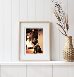 Biggles • The Rocks Dog Statue • Limited Edition Fine Photography Print