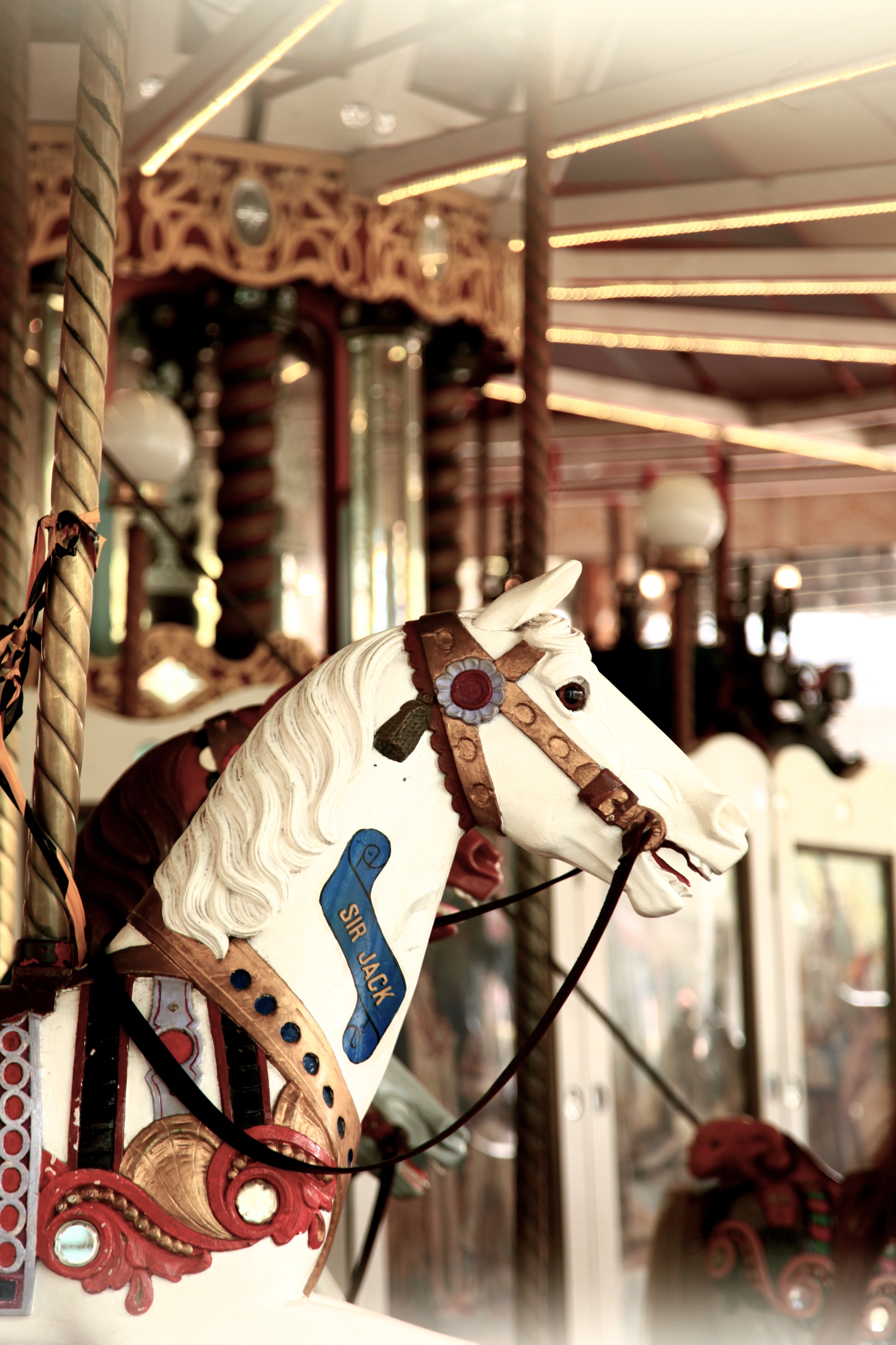 Merry Go Round • Canberra Carousel Photography Print Artwork