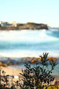 Salt Air • Bronte Beach Sydney • Set of Two Ocean Photography Prints