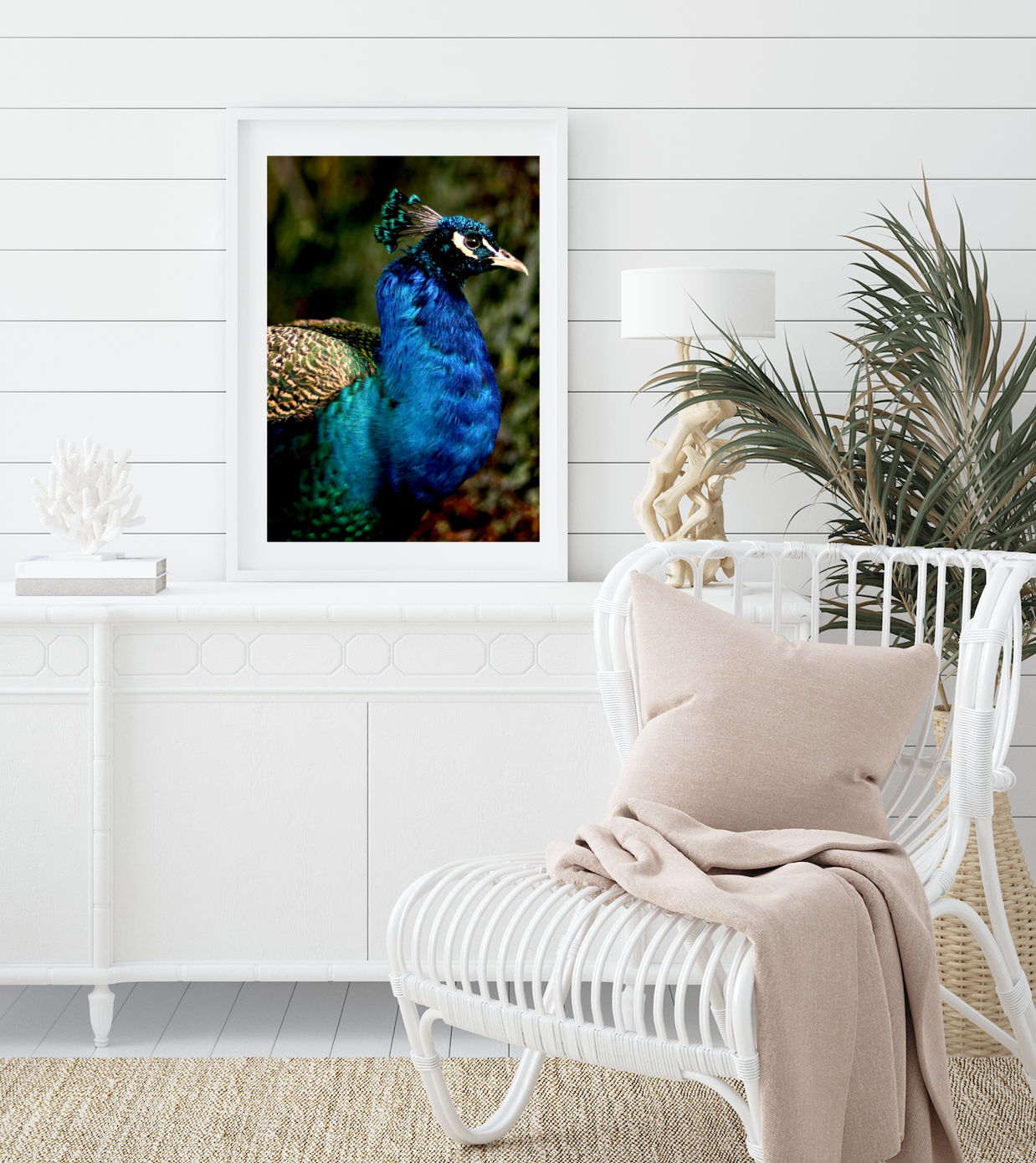 Iridescent Peacock Nº 1 • Fine Photography Print