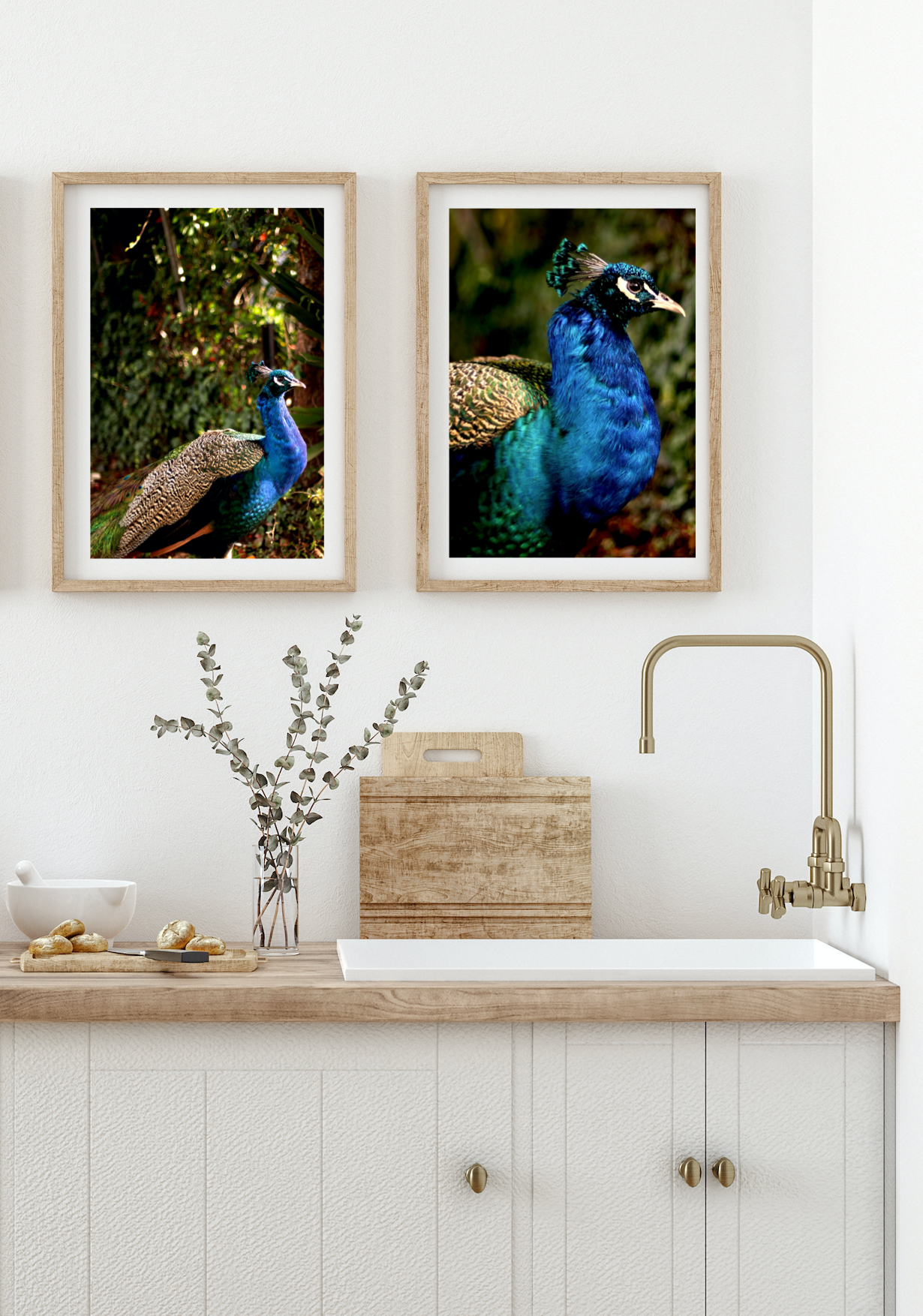 Iridescent Peacock Nº 6 & Nº 7 • Set of Two Fine Photography Prints