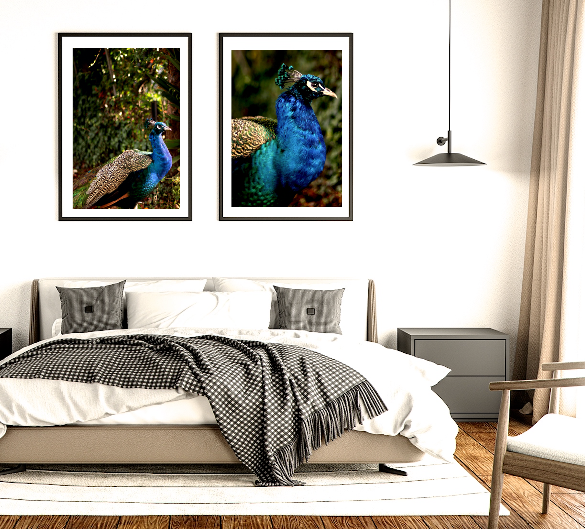 Iridescent Peacock Nº 6 & Nº 7 • Set of Two Fine Photography Prints