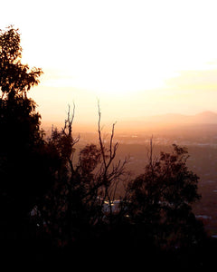 Sunset Over Canberra • Mt Ainslie Gum Tree Bushland Fine Photography Print