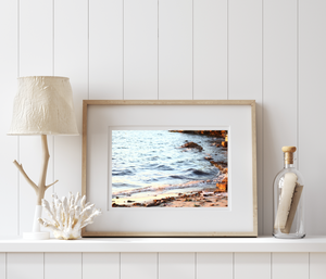 Golden Sydney Shore • Fine Photography Artwork Print