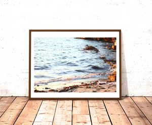 Golden Sydney Shore • Fine Photography Artwork Print