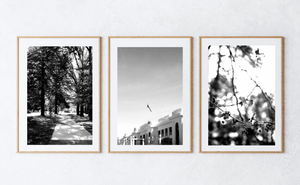 The Walk to Old Parliament House • Set of Three Black & White Photography Prints