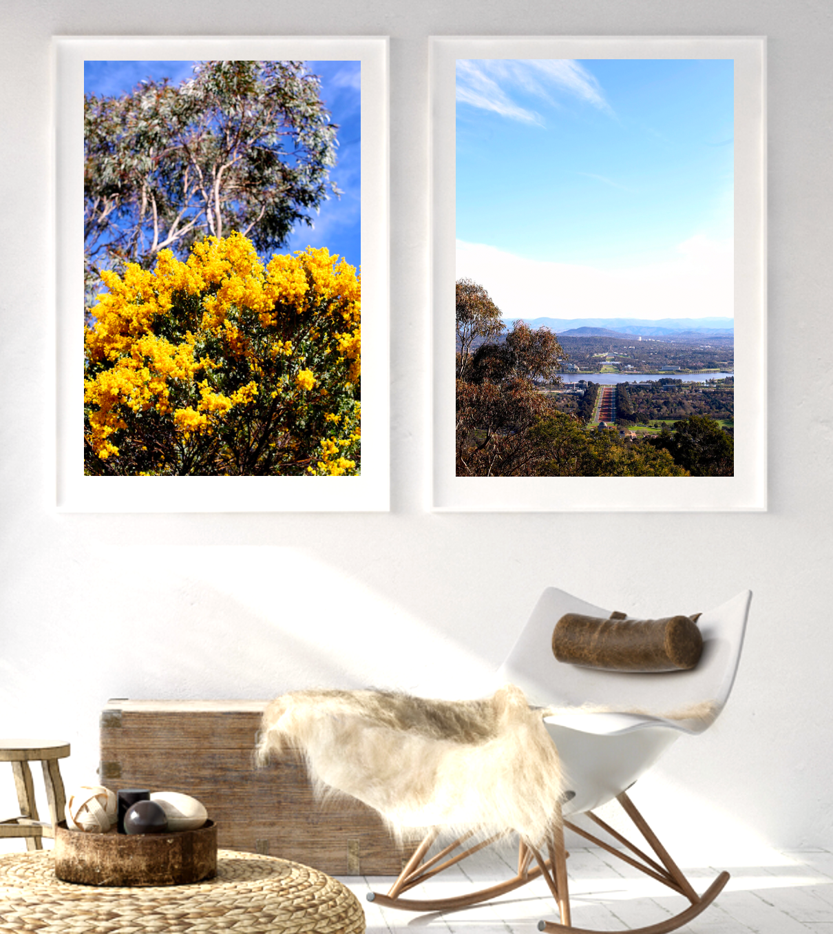 On Mt Ainslie • Golden Wattle • Set of Two Canberra Fine Photography Prints