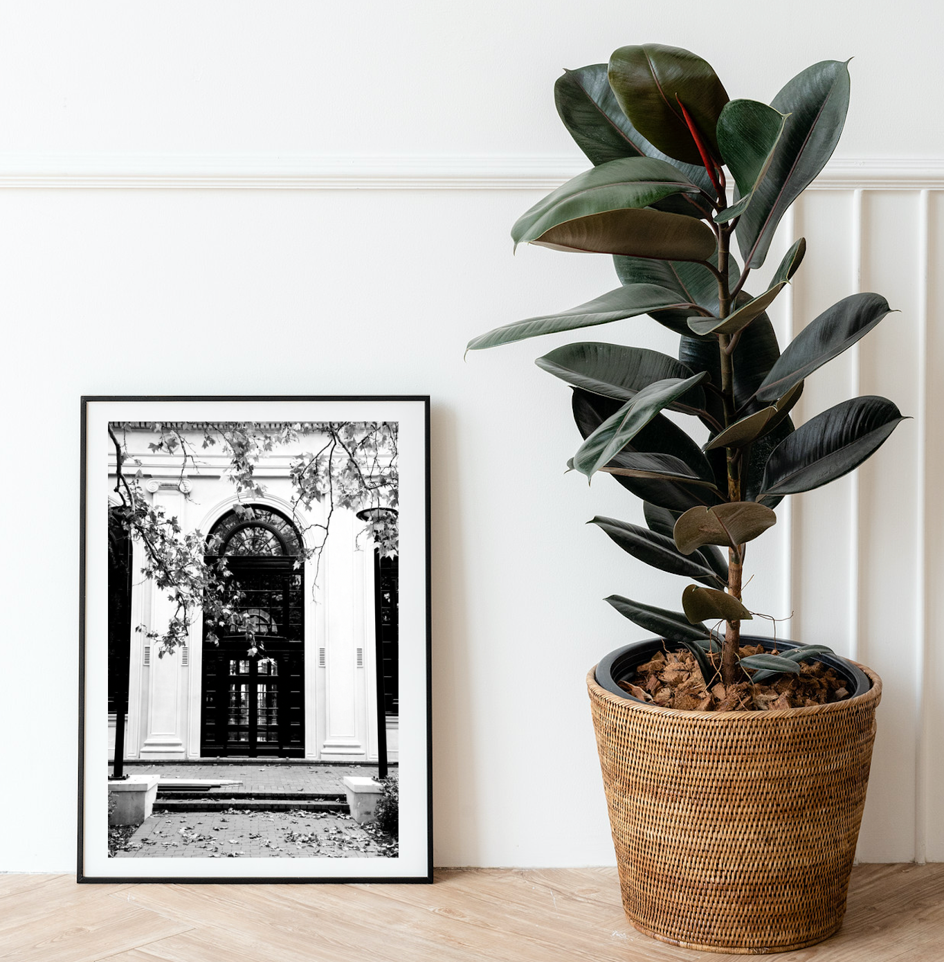 The Arch of Albert Hall • Black & White Canberra Photography Print