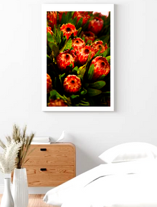 Orange Protea Summer • Botanical Flower Photography Print