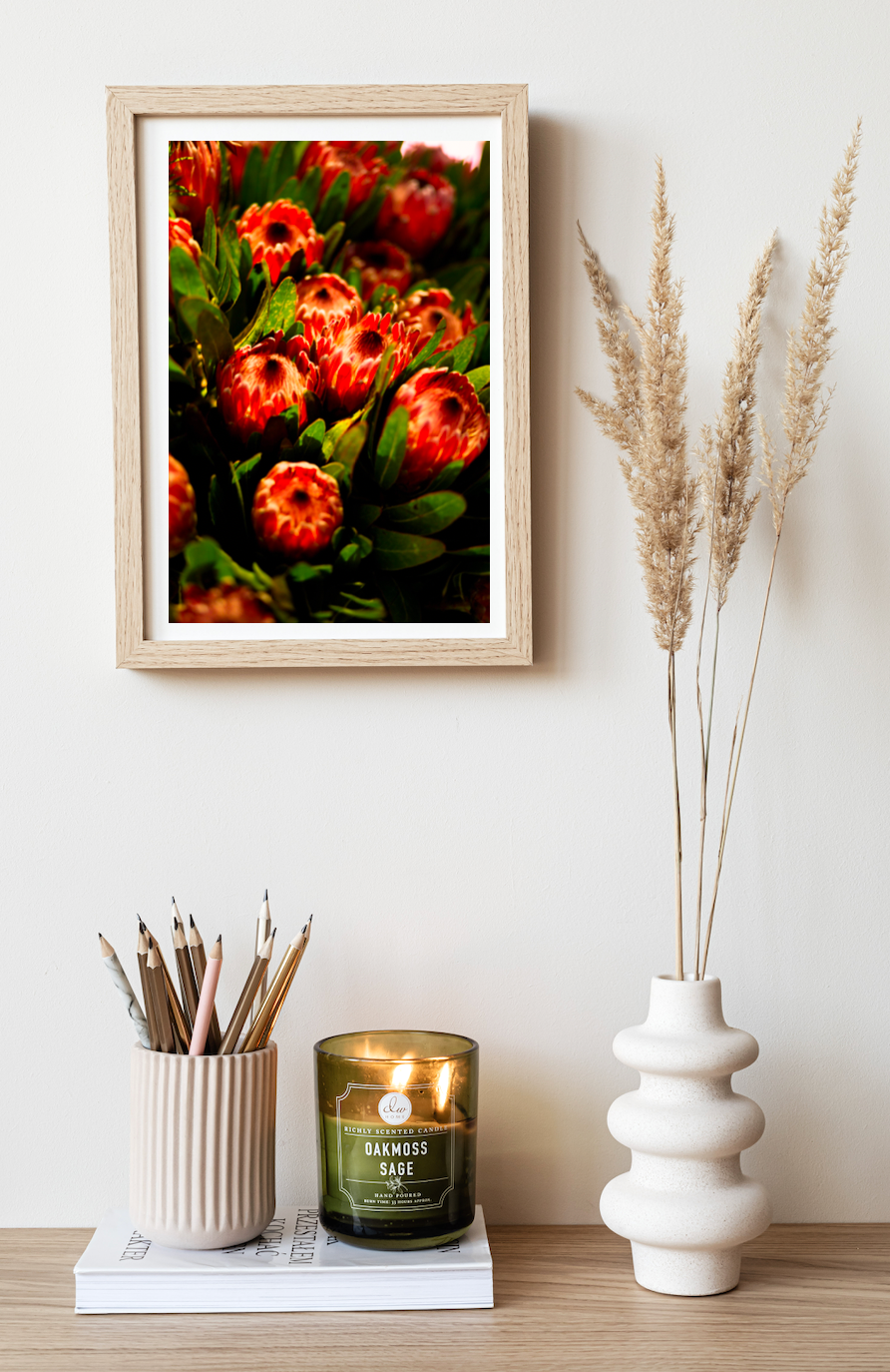 Orange Protea Summer • Botanical Flower Photography Print