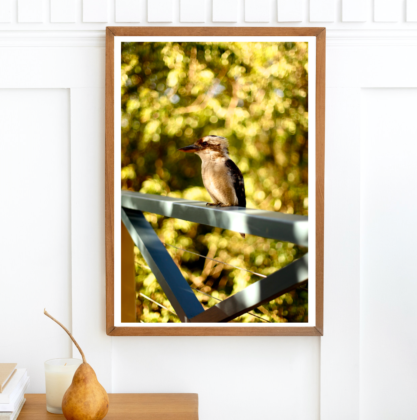 Kookaburra Laugh • Fine Art Print