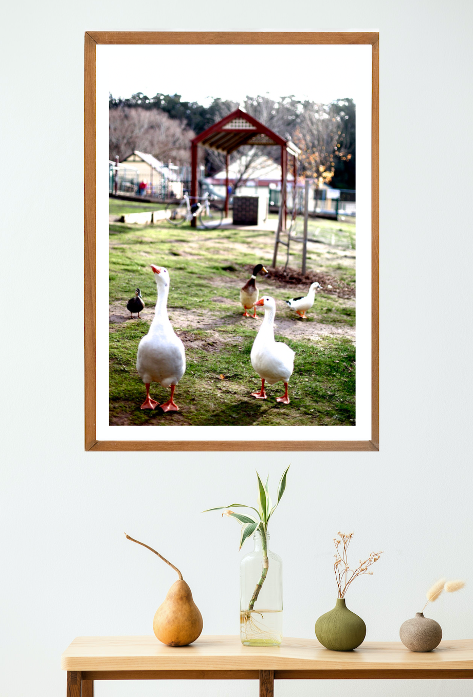 Lake Daylesford Geese • Fine Art Print