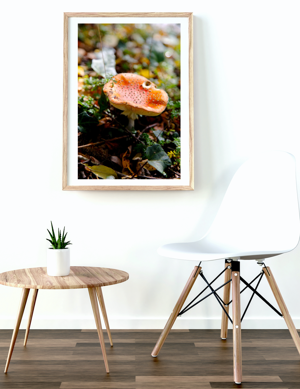 Lakeside Toadstool Mushroom • Lake Daylesford Photography Print