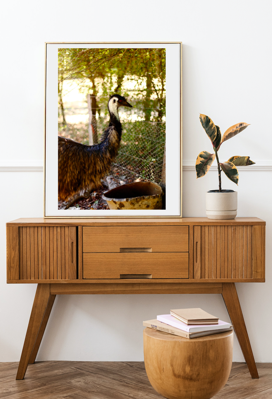 Hello Emu • Australian Wildlife Fine Print