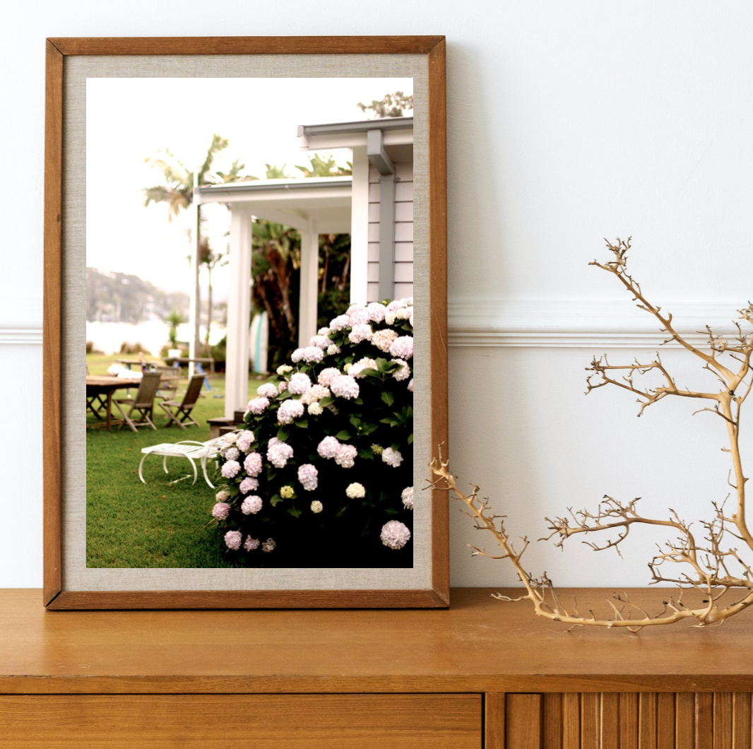 The Hydrangea Beach House • Hydrangea Coastal Home Photography Print