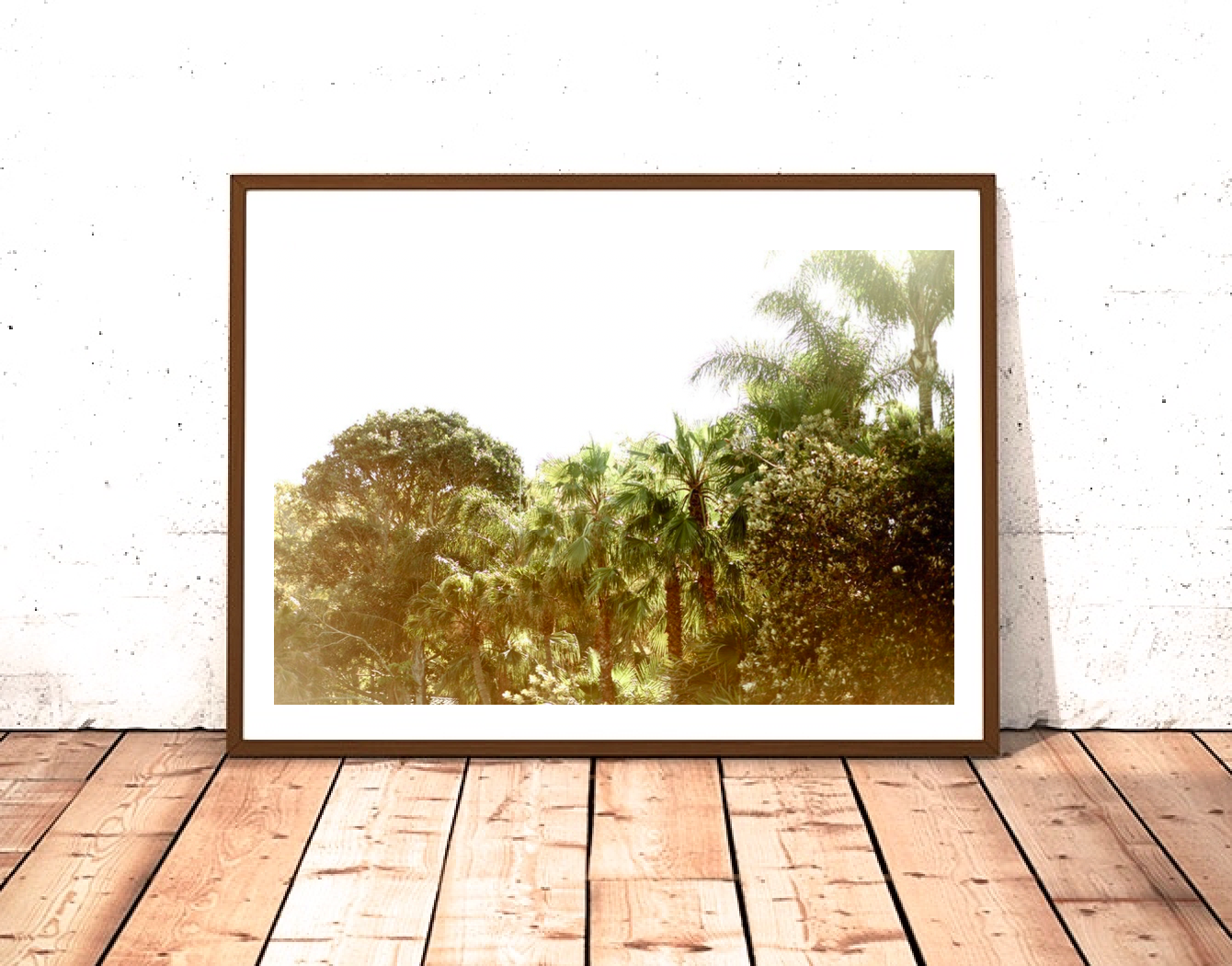Palm Tree Summer Haze • Palm Beach, Sydney's Northern Beaches • Tropical Photography Print