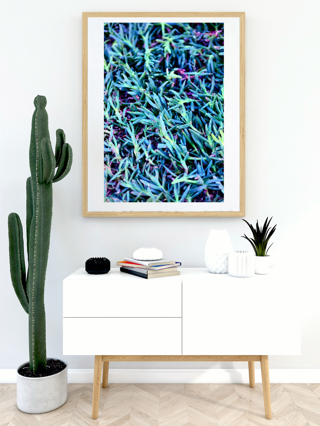 Blue Chalk Succulent Cactus • Photography Print