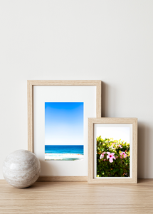 Summer on Whale Beach • Set of Two Northern Beaches Ocean Hibiscus Photography Prints