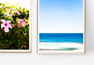 Summer on Whale Beach • Set of Two Northern Beaches Ocean Hibiscus Photography Prints