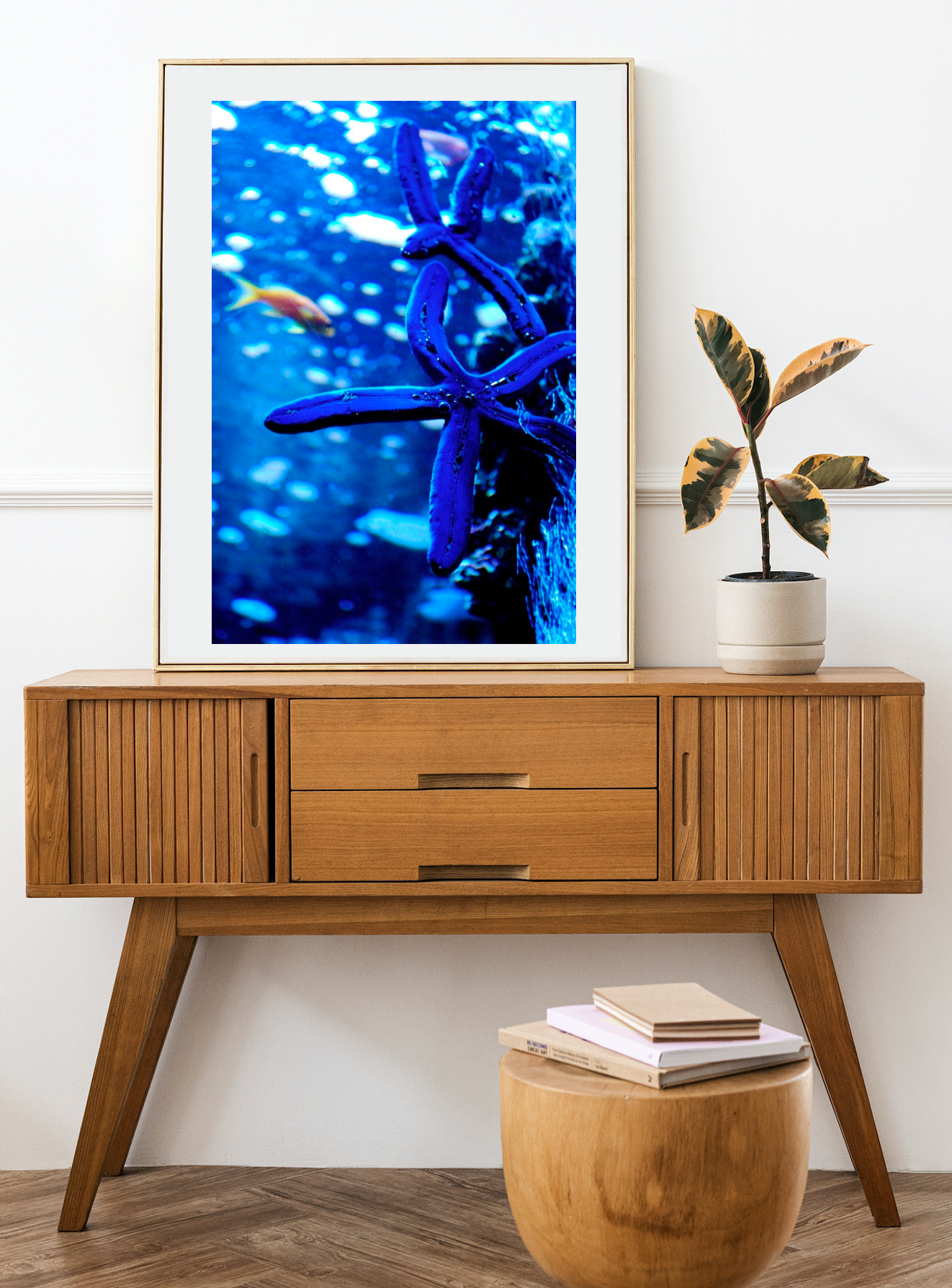 Electric Blue Starfish • Fine Photography Print