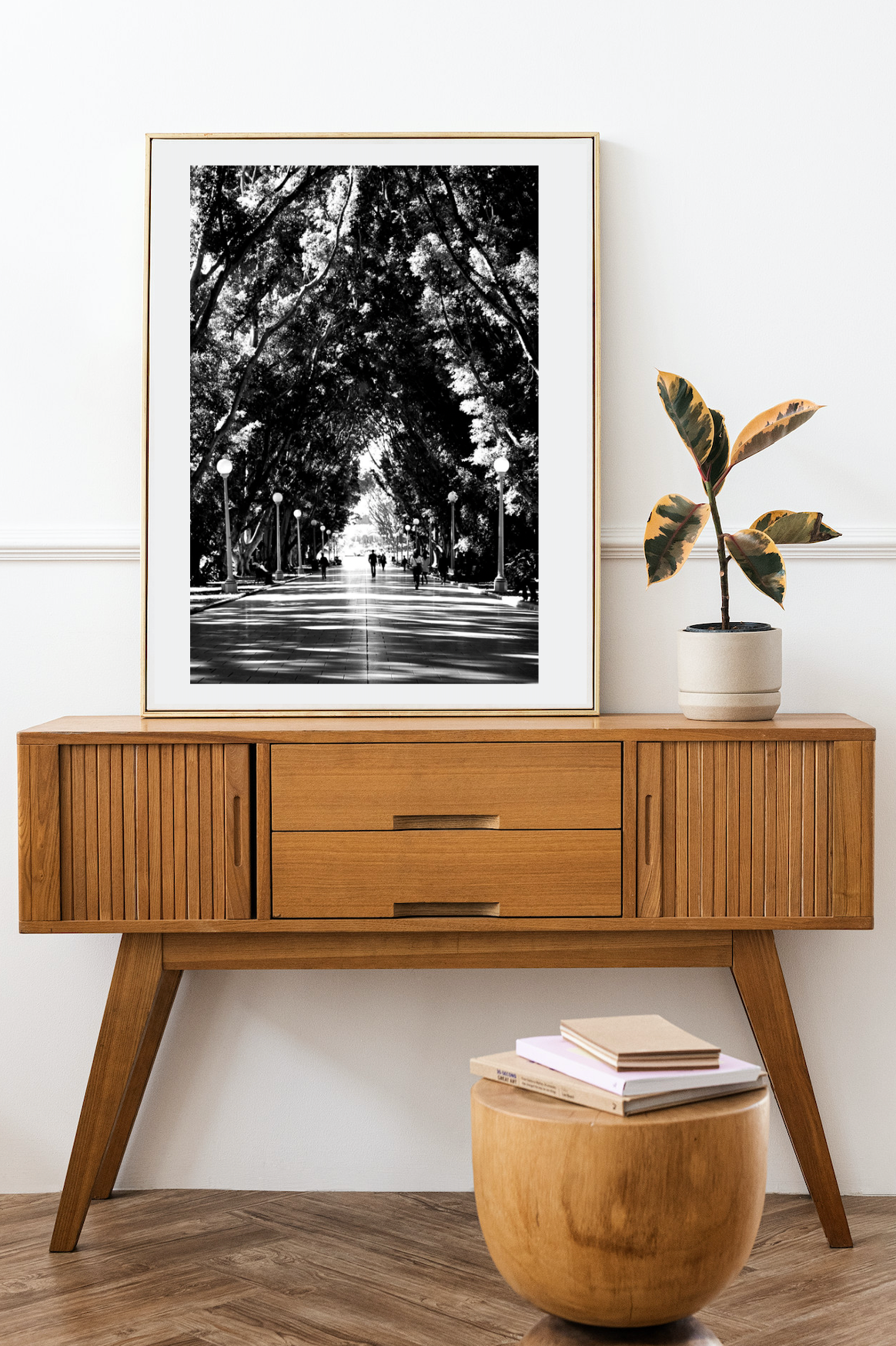 Hyde Park Sydney Stroll • Black & White Print