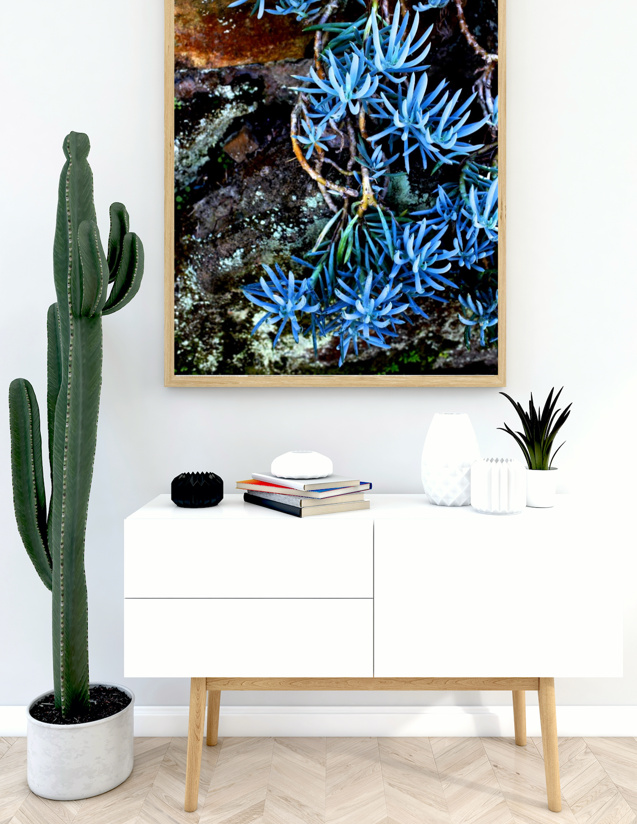 Succulents in Blue • Botanical Artwork Photography Print