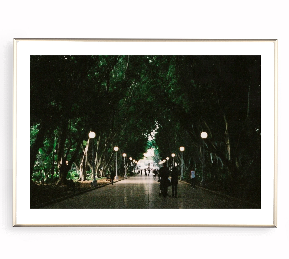 Hyde Park Sydney • 35mm Film Photography Print