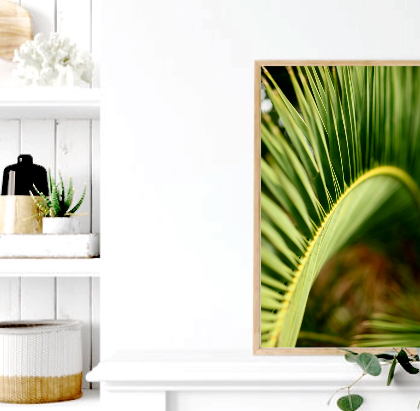 Palm Tree Sway • FinenPhotography Print • Kirribilli Sydney Australia • Tropical Coastal Wall Art