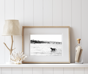 Sandy Paws, Salty Fur • Golden Retriever Sydney Photography Print