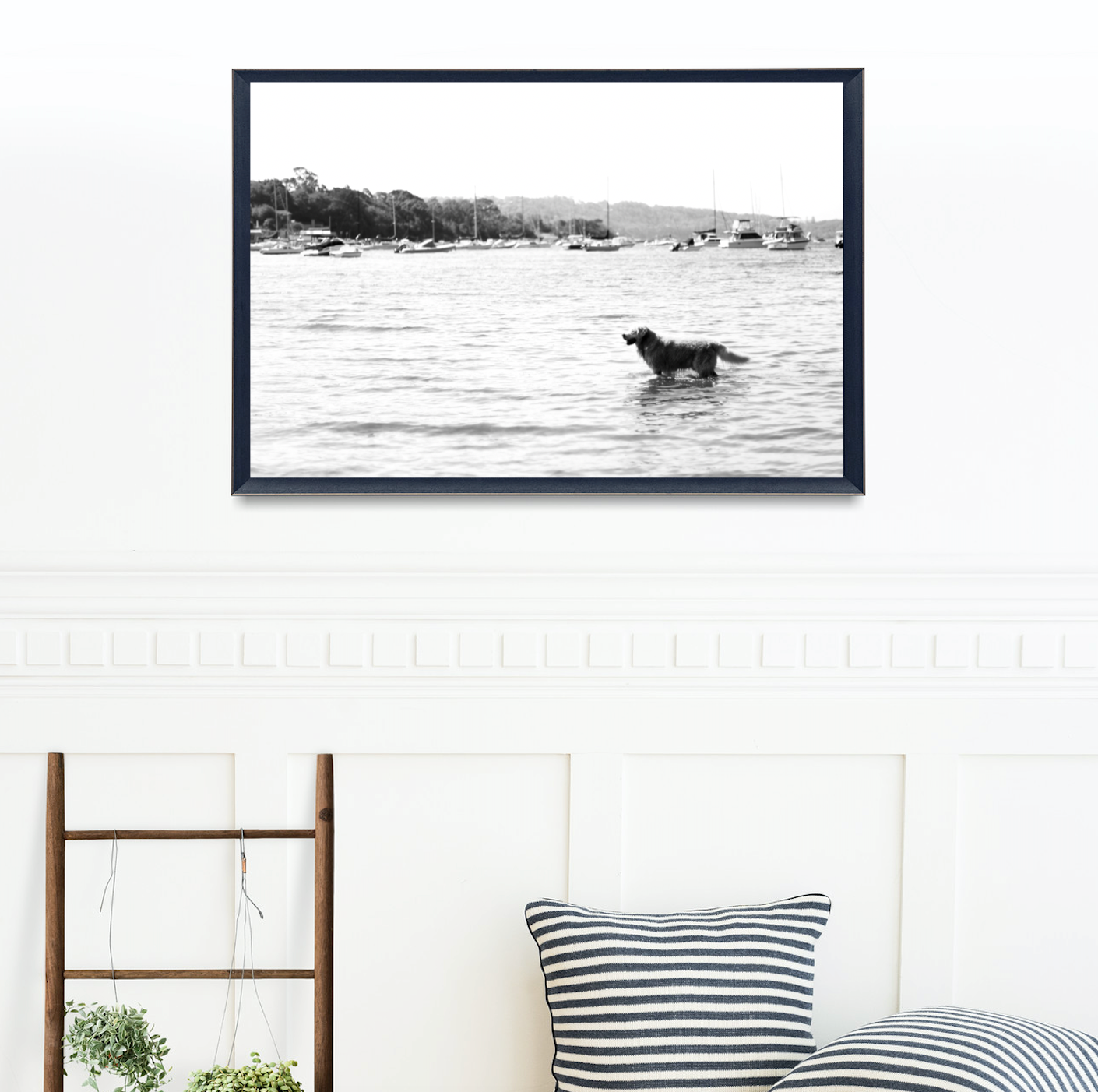 Sandy Paws, Salty Fur • Golden Retriever Sydney Photography Print