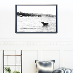 Sandy Paws, Salty Fur • Golden Retriever Sydney Photography Print