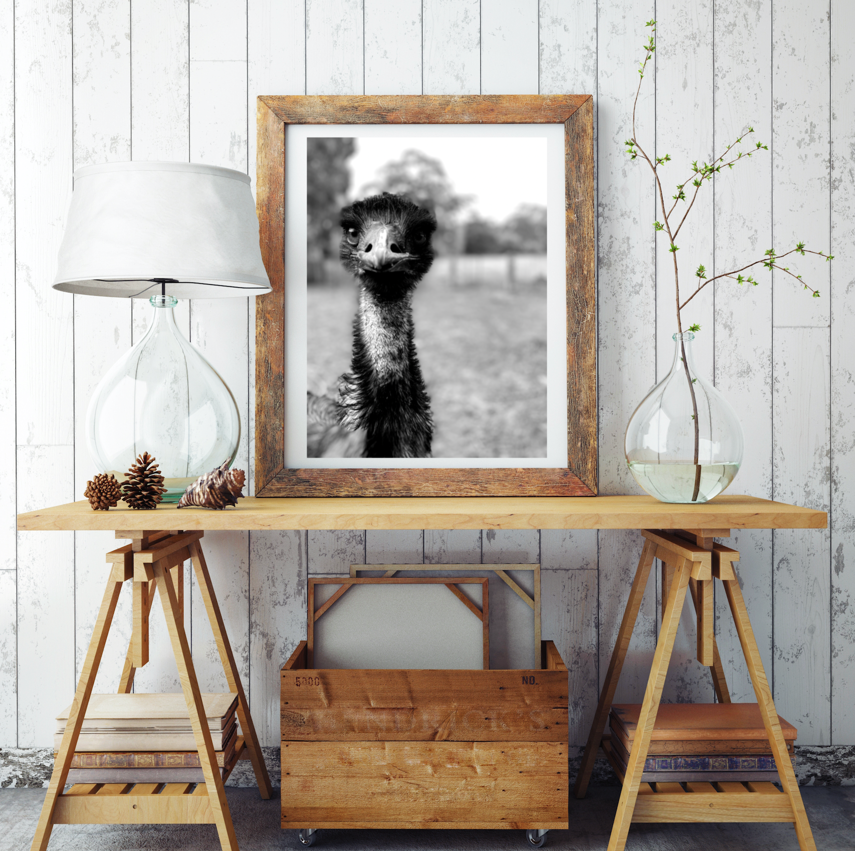 Emu Friend • Australian Wildlife Black & White Fine Print