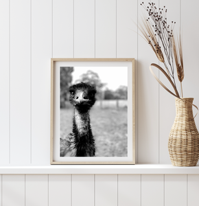 Emu Friend • Australian Wildlife Black & White Fine Print