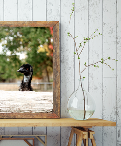 Emu Wander • Australian Wildlife Photography Print