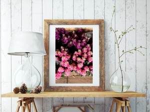 Flower Stall • Lake Daylesford Fine Art Print