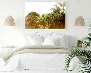 Palm Tree Summer Haze • Palm Beach, Sydney's Northern Beaches • Tropical Photography Print