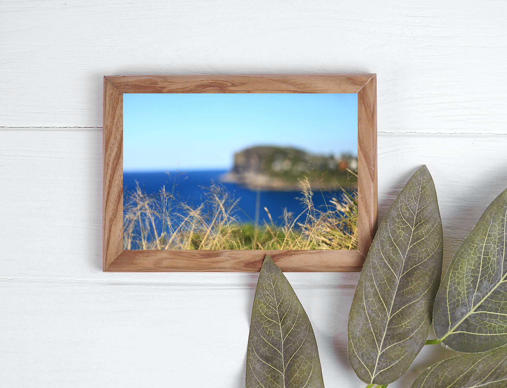 Whale Beach Headland • Sydney Photography Prints