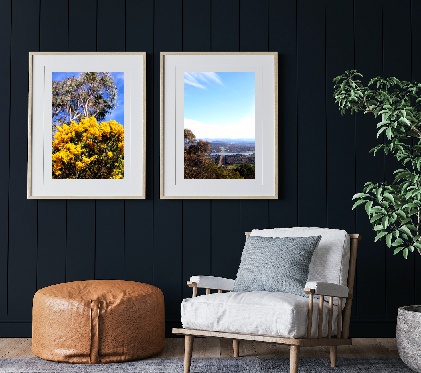 On Mt Ainslie • Golden Wattle • Set of Two Canberra Fine Photography Prints