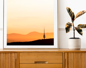 Canberra Telstra Tower Black Mountain Golden Hour • Square Photography Print