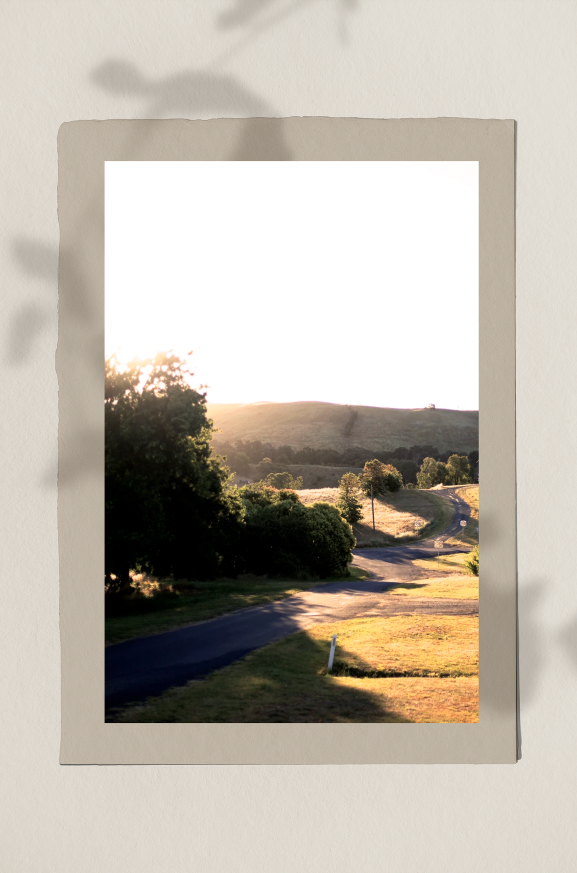 Country Roads - Jugiong NSW Golden Hour Print