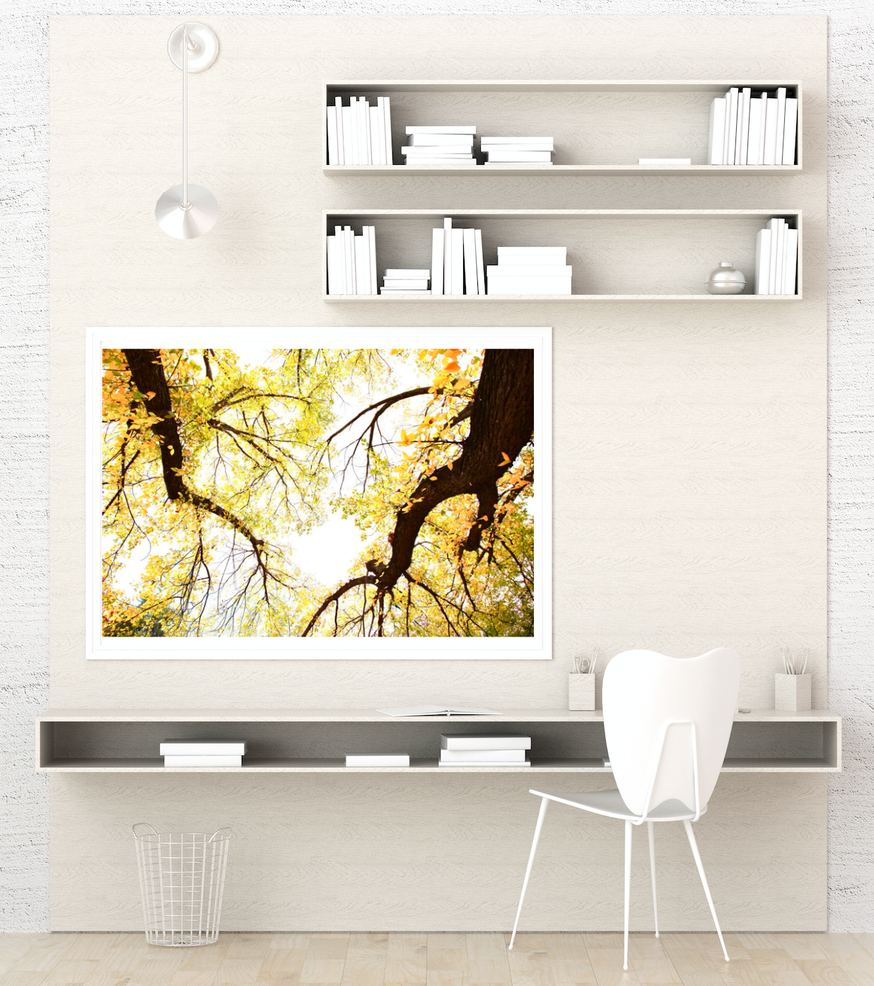 Golden Hour Oaks Canberra • Telopea Park Photography Print