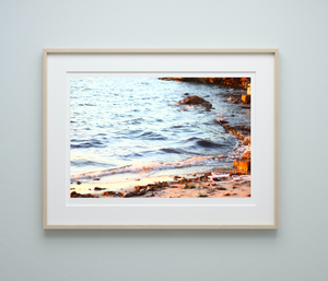 Golden Sydney Shore • Fine Photography Artwork Print