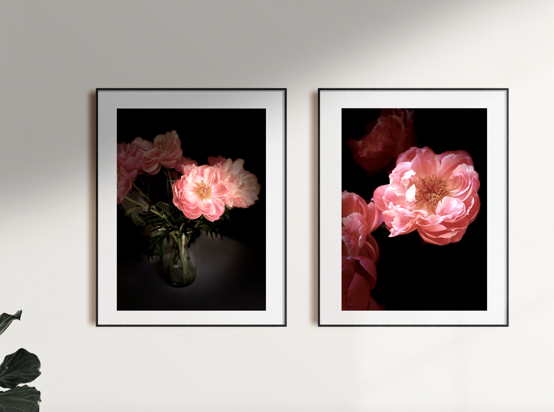 Fleur • Nº 3 Florescence Collection • Peony Flower Fine Art Photography