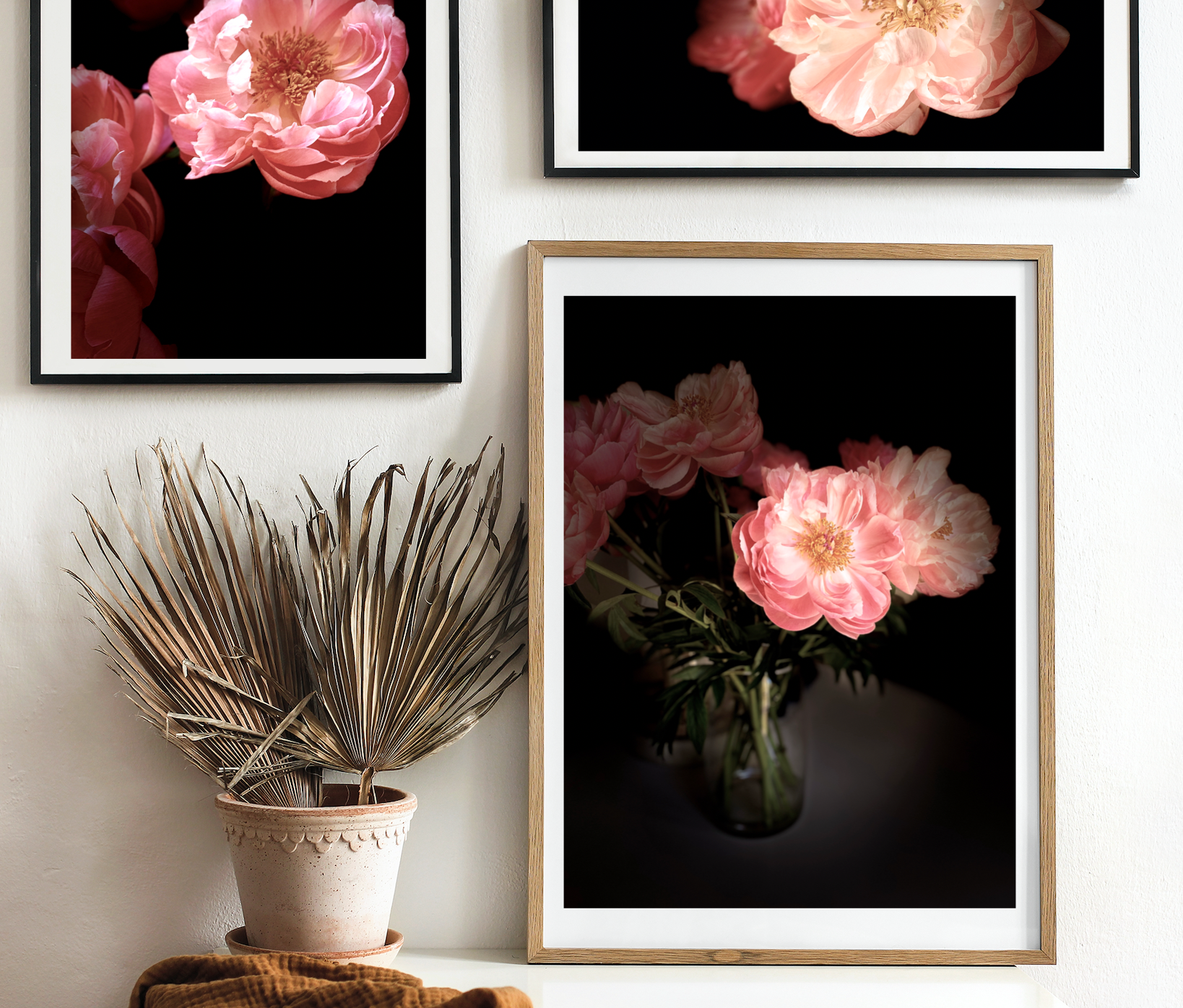 Florescence Collection • Set of Six Peony Flower Fine Art Photography Prints