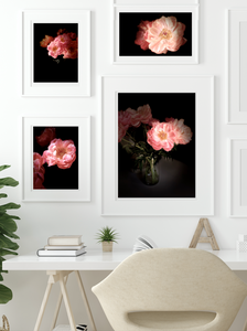 Fleur • Nº 3 Florescence Collection • Peony Flower Fine Art Photography