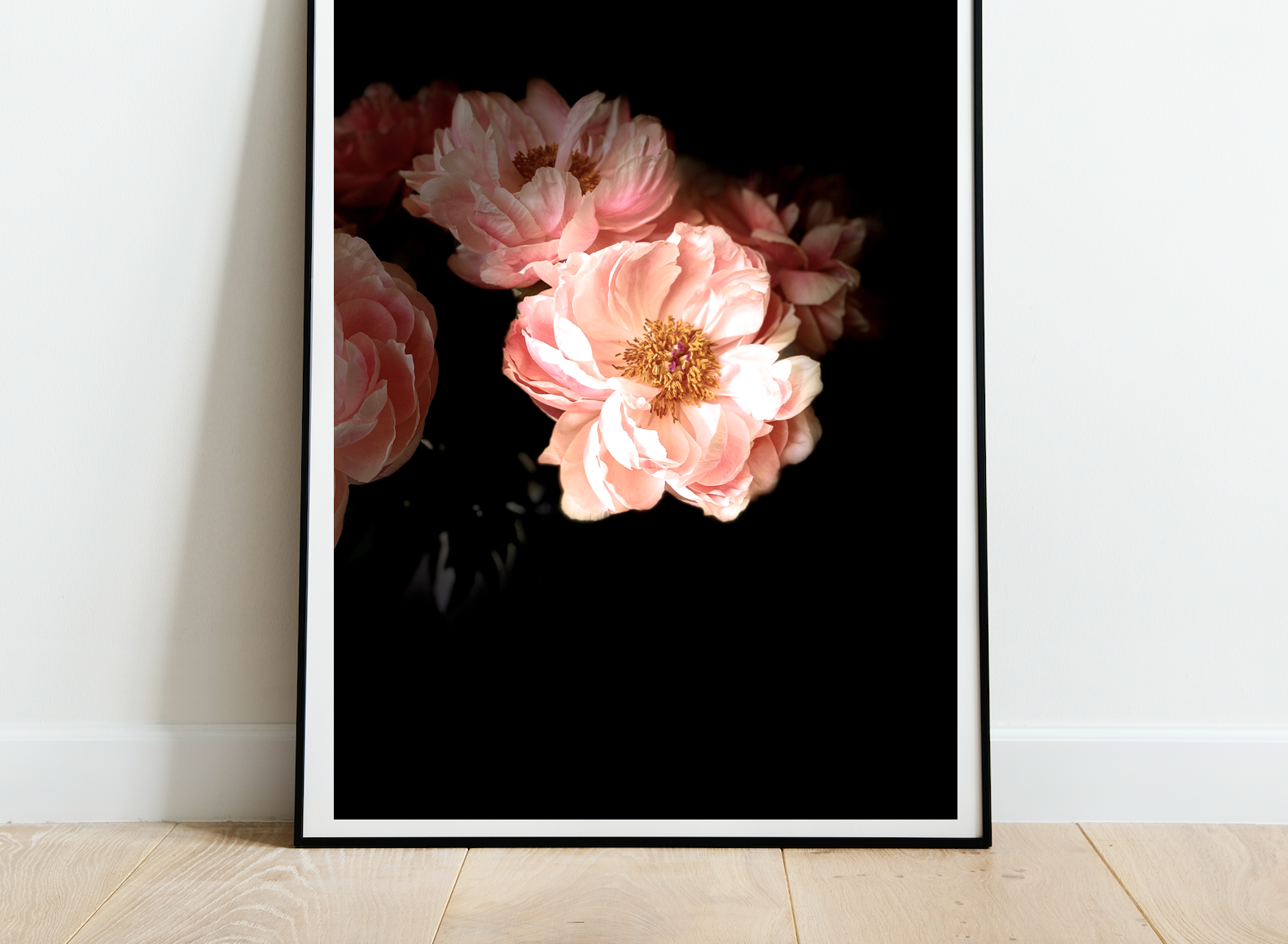 Blush • Nº 2 Florescence Collection • Peony Flower Fine Art Photography